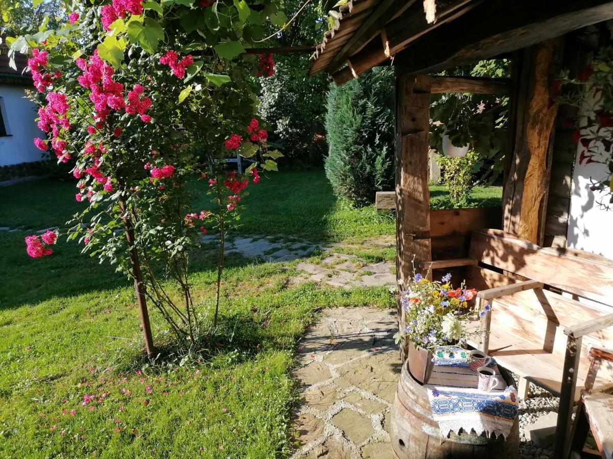 Casa Traditionala Transilvaneana Rucar  Экстерьер фото